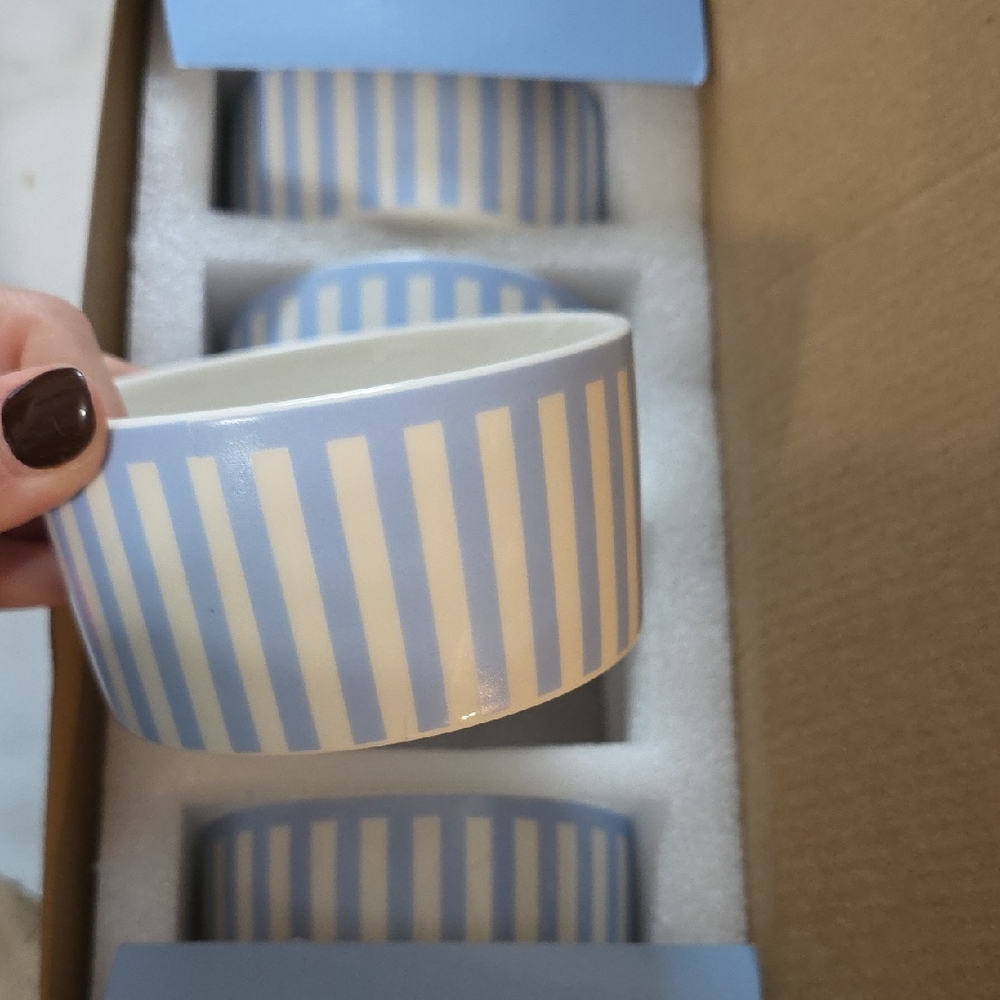 Blue and White Striped Ceramic Bowls